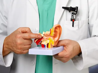 Spec. otolaryngolog - dr nauk med. Piotrowski Sławomir